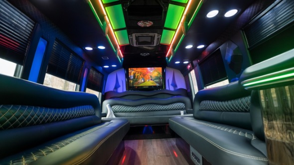 edison sprinter limo rental inside